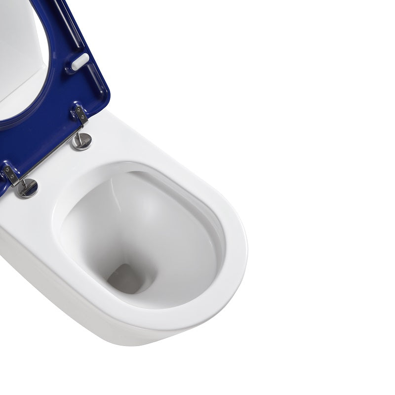 Cesena Care Rimless Care Toilet Suite Blue Seat & Raised Button | Indulge Bathroom