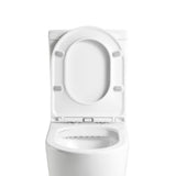 Ecco Rimless Toilet Suite | Indulge Bathroom