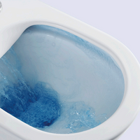 Cesena Rimless Toilet Suite | Indulge Bathroom