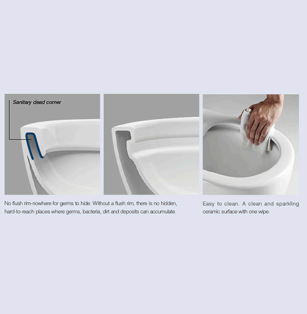 Cesena Rimless Toilet Suite | Indulge Bathroom