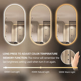 Oval Pill Touchless Back-Lit Brushed Gold 450 x 900 LED Mirror - Three Light Temperatures | Indulge Bathroom